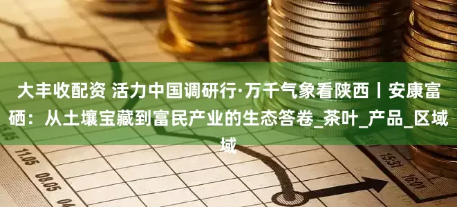 大丰收配资 活力中国调研行·万千气象看陕西丨安康富硒：从土壤宝藏到富民产业的生态答卷_茶叶_产品_区域