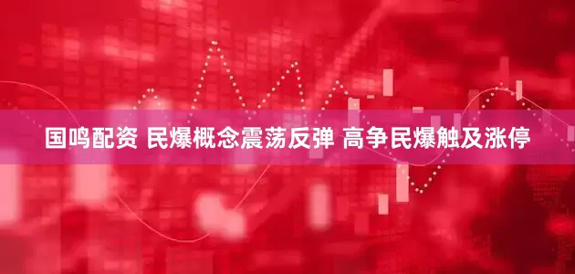 国鸣配资 民爆概念震荡反弹 高争民爆触及涨停