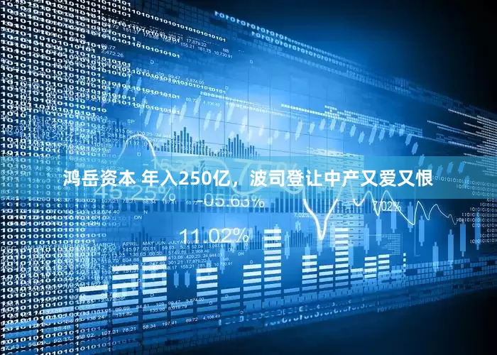 鸿岳资本 年入250亿，波司登让中产又爱又恨