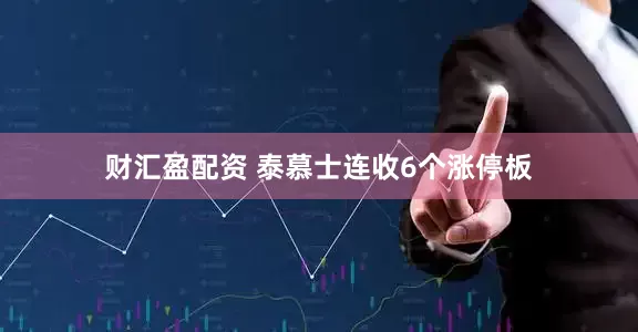 财汇盈配资 泰慕士连收6个涨停板