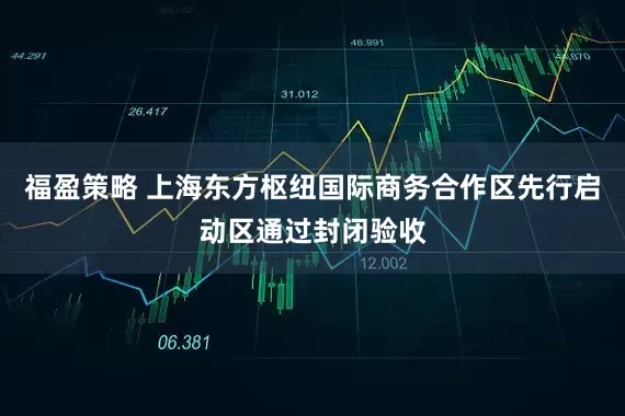 福盈策略 上海东方枢纽国际商务合作区先行启动区通过封闭验收